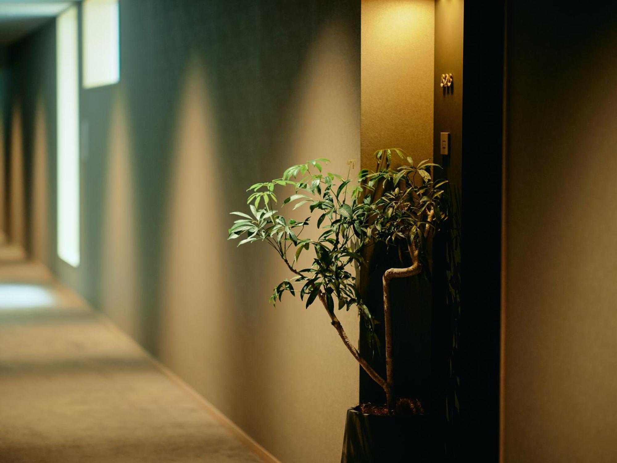 Good Nature Hotel Kioto Pokój zdjęcie A corridor in a hotel