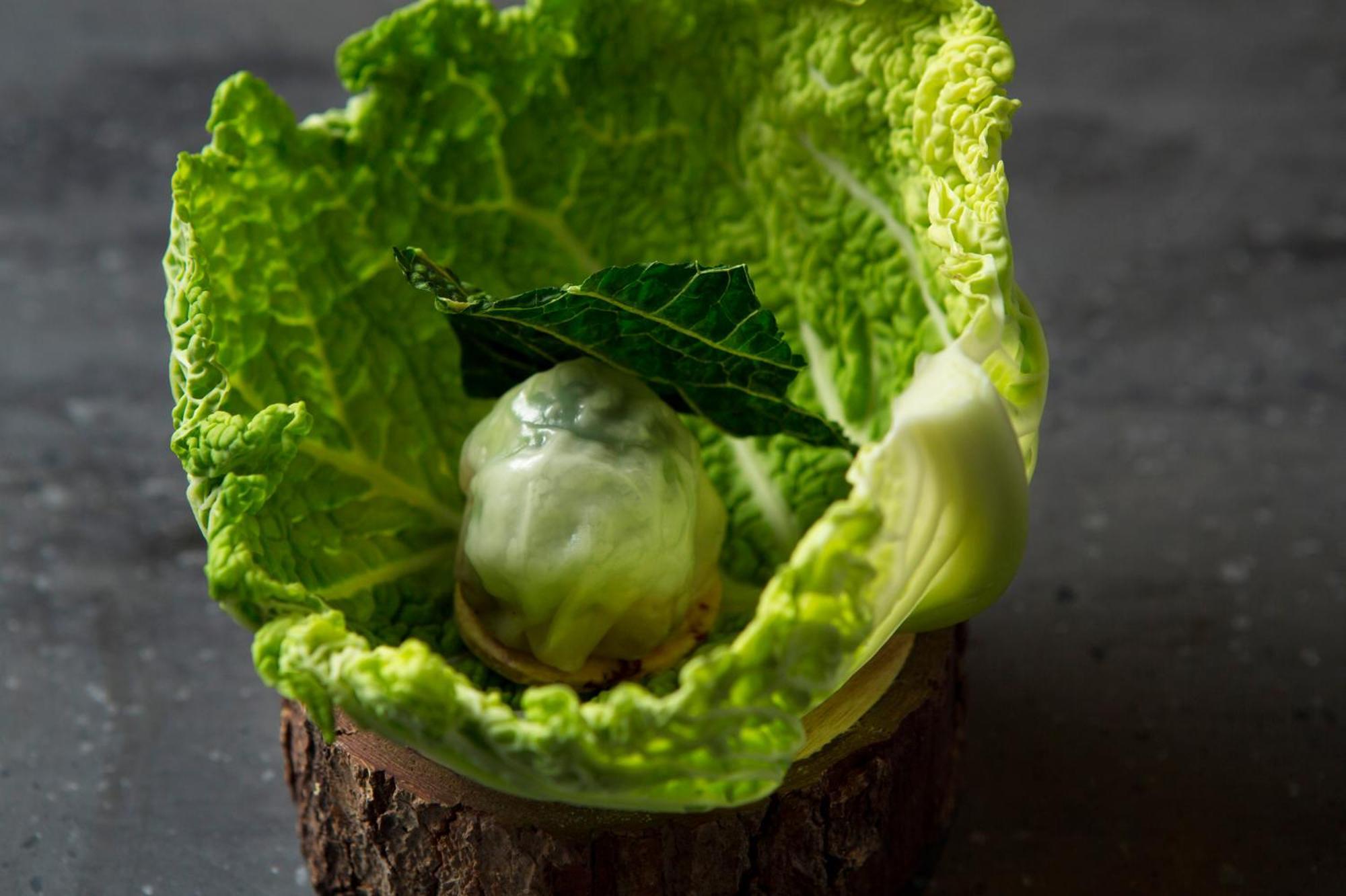 Good Nature Hotel Kioto Zewnętrze zdjęcie A cabbage leaf with a ball of ice